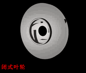 離心泵葉輪動態(tài)圖